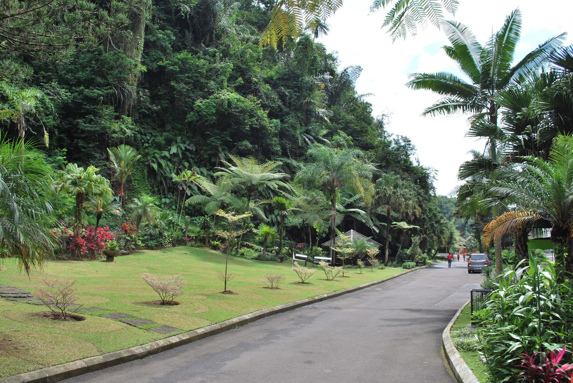 Zuri Resort Cipanas Puncak Luaran gambar